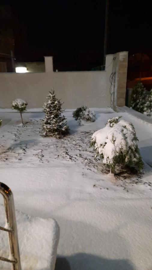 Casa Andi Daire Năvodari Dış mekan fotoğraf