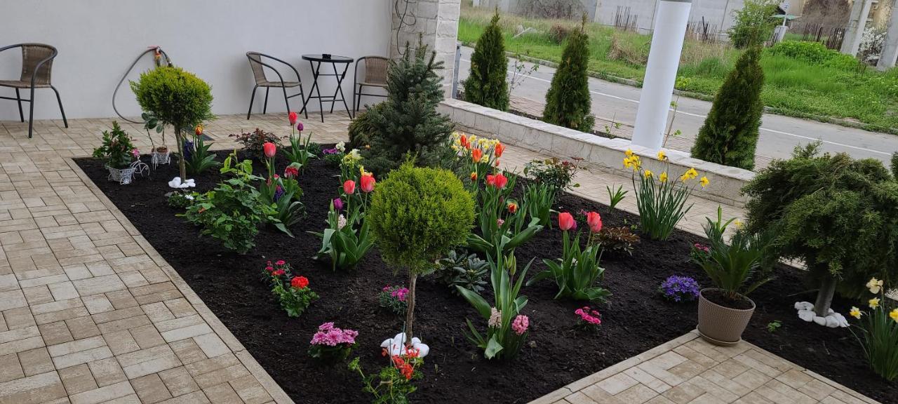 Casa Andi Daire Năvodari Dış mekan fotoğraf