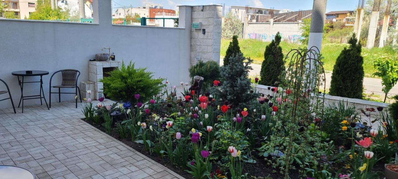 Casa Andi Daire Năvodari Dış mekan fotoğraf